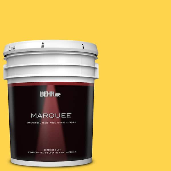 BEHR MARQUEE 5 gal. #370B-6 Vibrant Flat Exterior Paint & Primer