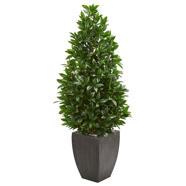 Nearly Natural Indoor/Outdoor 56 in. Bay Leaf Cone Topiary Artificial ...