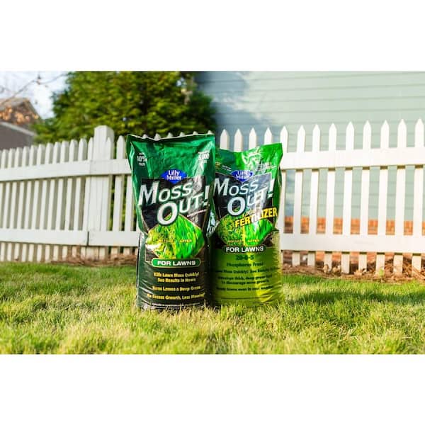 Moss Out 20 lb. 5 000 sq. ft. Lawn Moss Killer Granules Plus Fertilizer 20 0 5 100508946