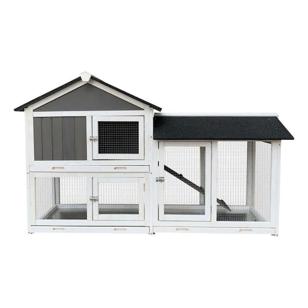 Modern best sale rabbit hutch