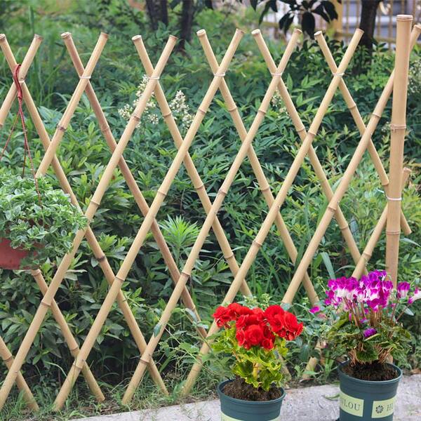 15 PCS Plant Support Sticks Climbing Plant Supporters Flower Support