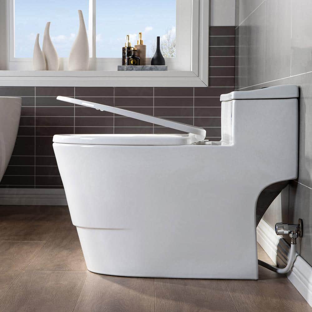 White Ceramic One-Piece Dual Flush Toilet with Chrome Button