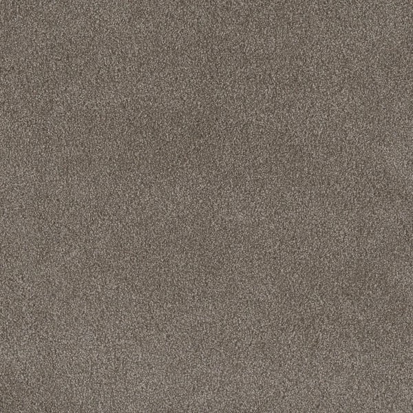 Home Decorators Collection 8 in. x 8 in. Texture Carpet Sample - First Class I -Color Manor