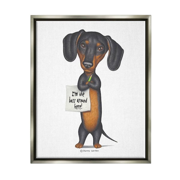 17 Amazing Things About Dachshunds Dogs  