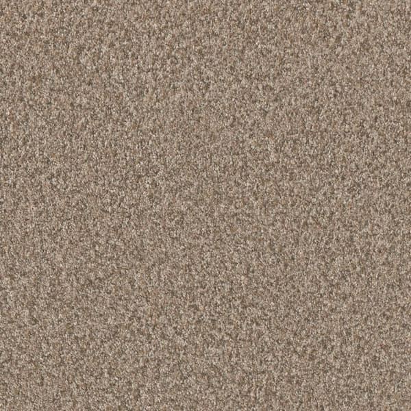 Manuscript II -Scroll Beige-55 oz. SD Polyester Texture Installed Carpet