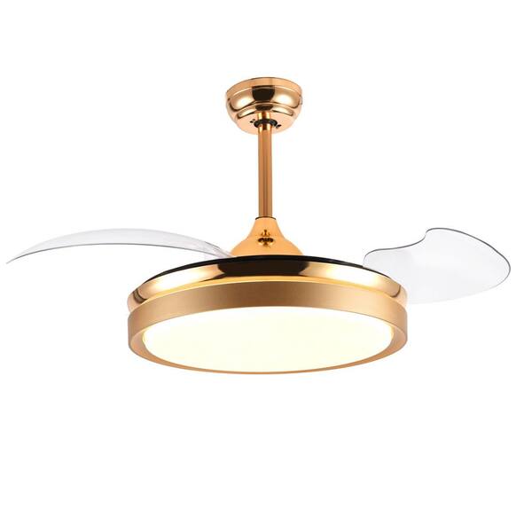 42 In Led French Gold Retractable Ceiling Fan With Light Kit And Remote Control Bd4205 G - Ceiling Fans With Really Good Lighting