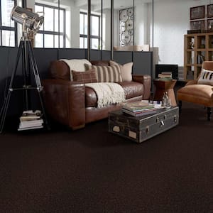 Palmdale I - Mountain Path - Brown 17.6 oz. Polyester Texture Installed Carpet