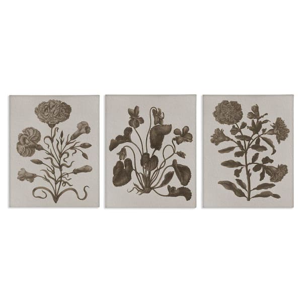 Vintage Country Botanicals by Lil' Rue 3 Pieces Unframed Nature Graphic Art Print 20 in. x 16 in.