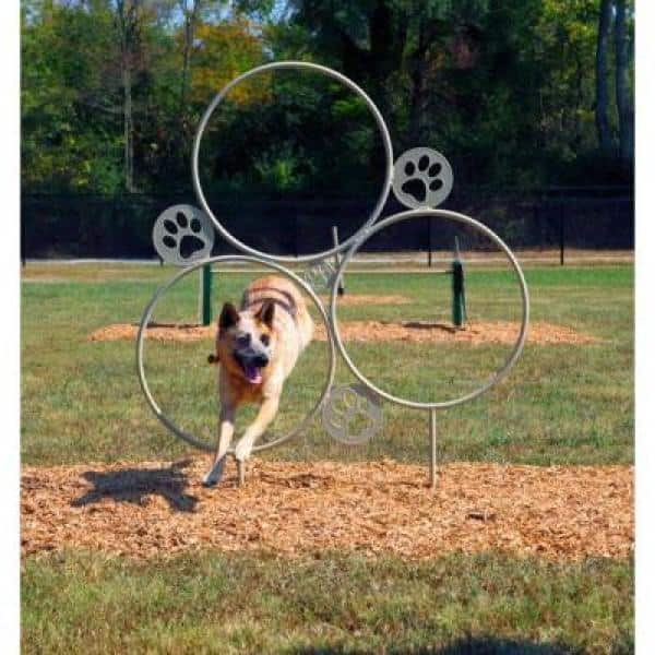 Intermediate Bark Park Obstacle Course