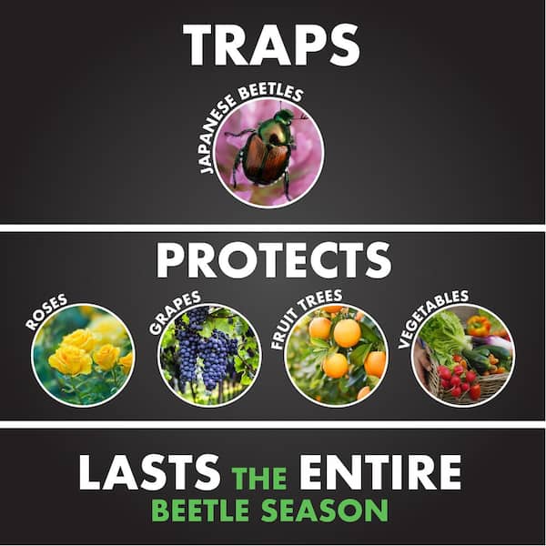 Bag-A-Bug Japanese Beetle Trap2 Replacement Bags (6-Count)