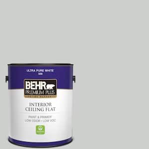1 gal. #N460-2 Planetary Silver Ceiling Flat Interior Paint