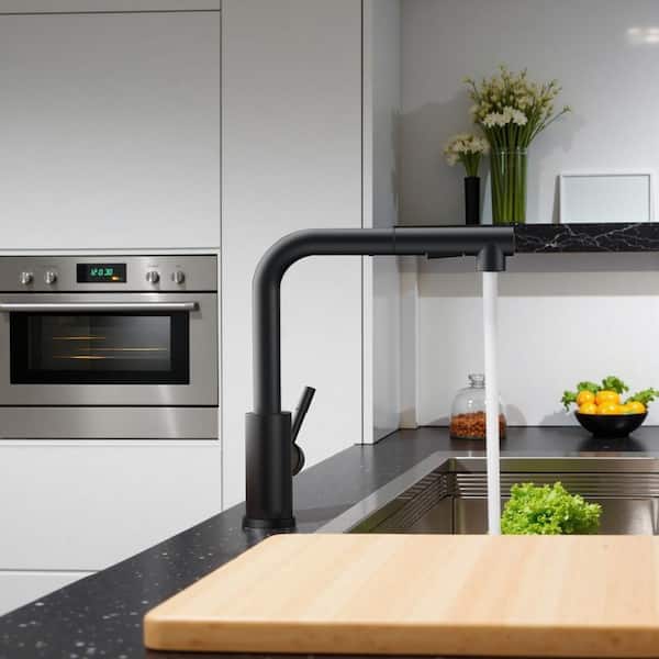 Single Handle Pull Down Sprayer Kitchen Faucet with Deckplate Pull Out Spray Wand in Matte Black