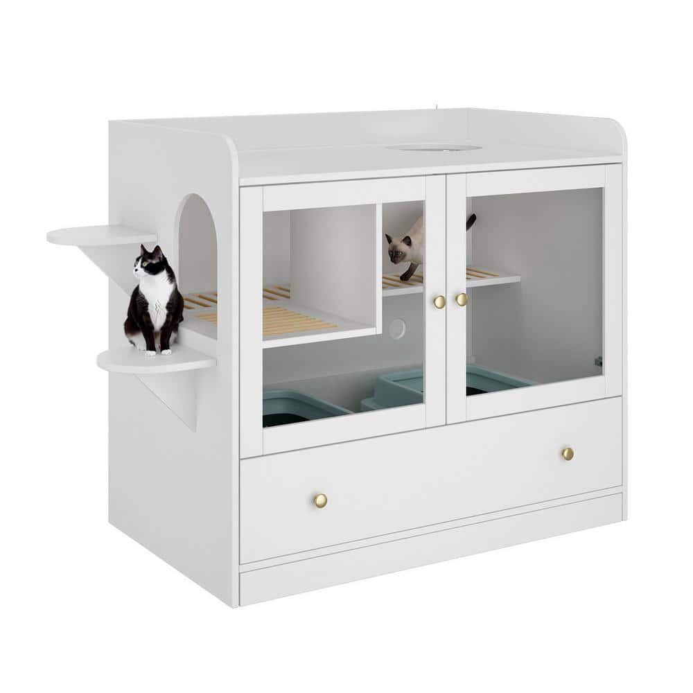 洋書 Luxury for Cats teNeues LUXURY FOR CATS - Bibliophile Books
