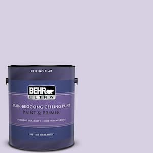 1 gal. #M560-2 Fanciful Ceiling Flat Interior Paint and Primer
