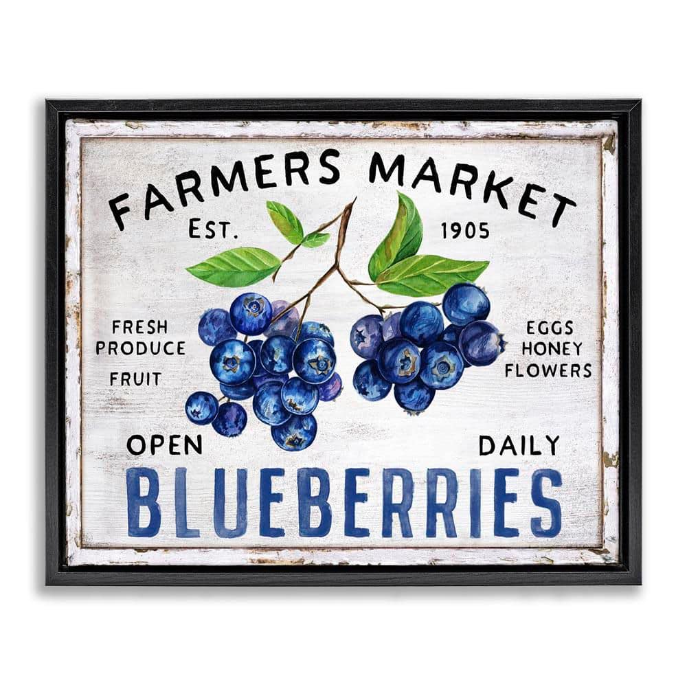 Farmers Market Blueberries by Creatif Belle Black Floater Frame Food Graphic Art Print 25 in. x 31 in. price history on PriceWatchPro