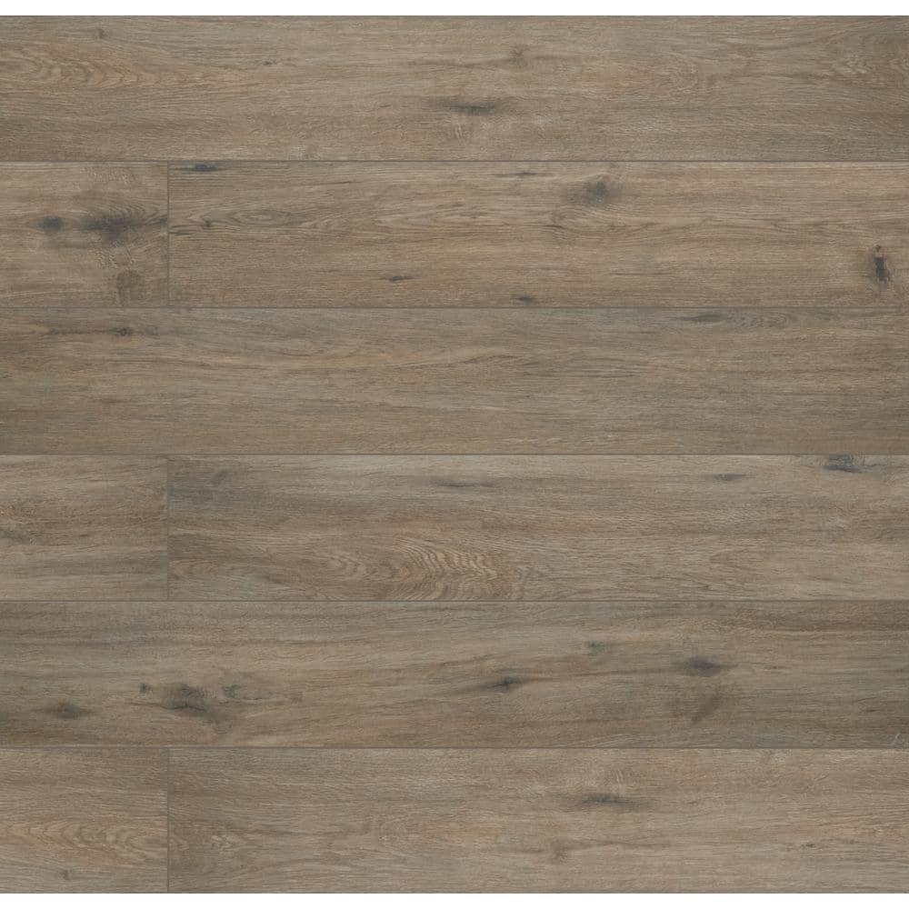Take Home Tile Sample-Edwards Oak 2 cm. x 4 in. x 4 in. Porcelain Wood Look Paver Tile price history on PriceWatchPro