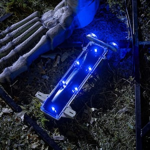 Color Changing LED 12 FT Skelly Lighting Kit