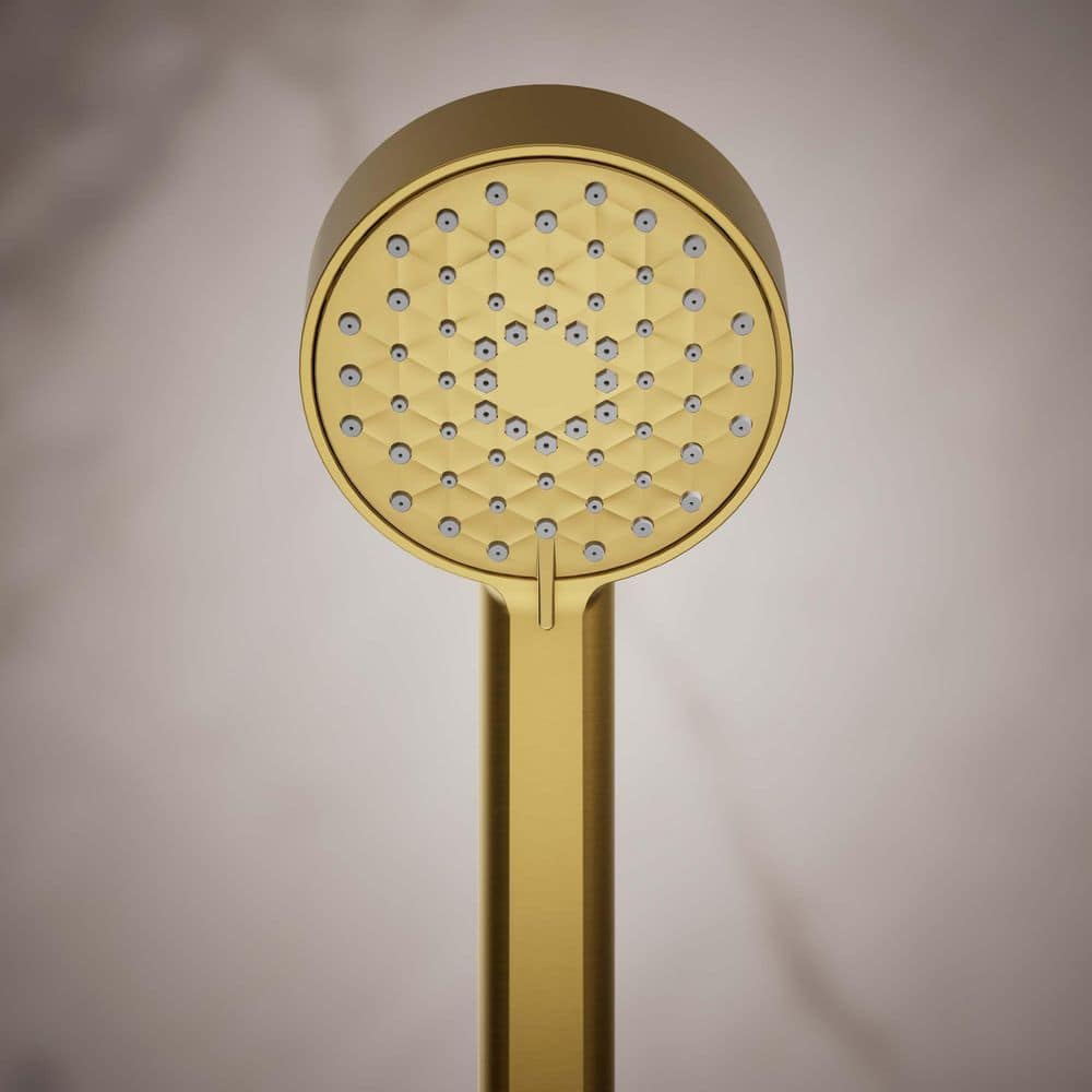 Vibrant Brushed Moderne Brass Wall Mounted Handheld Shower