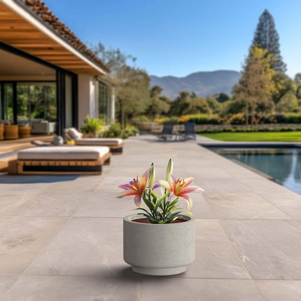 16 in. Large Light Gray (Enhanced Interior) Concrete Round Planter / Pot with Drainage Holes