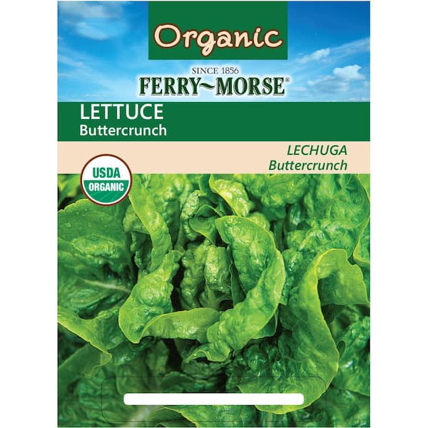 Ferry-Morse Lettuce Buttercrunch Seed