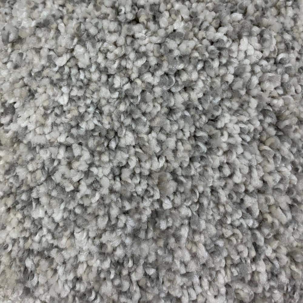8 in. x 8 in. Texture Carpet Sample - Hazelton I - Color Boost price history on PriceWatchPro