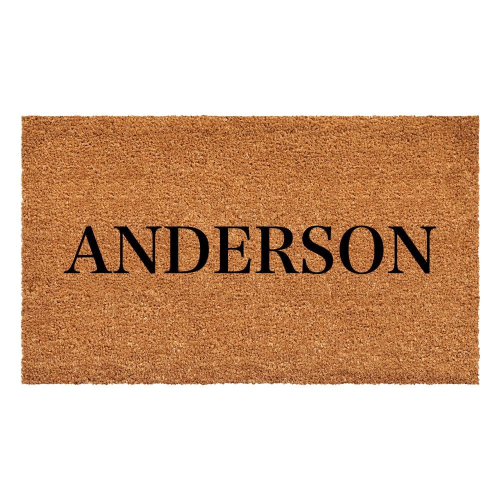 Bold Anderson Multi-Colored 17 in. x 29 in. Indoor or Outdoor Doormat price history on PriceWatchPro