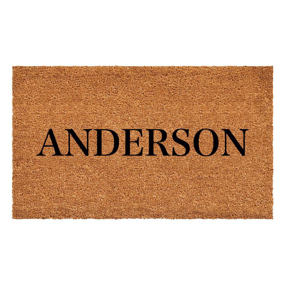 Bold Anderson Multi-Colored 24 in. x 48 in. Indoor or Outdoor Doormat price history on PriceWatchPro