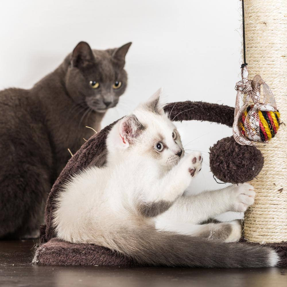 Beige 31" Sisal 3-Tier Cat Tree with Condo and Perch