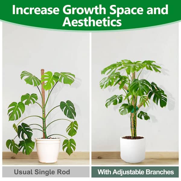 OGETFUUR 2 Pack 30 in. Moss Poles Coco Coir Plant Pole Moss Plant