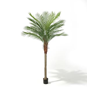 アクセサリー bazo1199 palm tree Vitalismo 8 ft. Green Plant 96 in. Artificial Phoenix Palm Tree