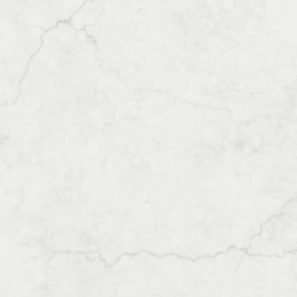 5 in. x 7 in. Quartz Countertop Sample in Calacatta Miraggio Lusso