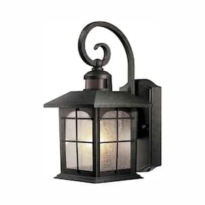 Brimfield 14.2 in. Aged Iron 1-Light Outdoor Wall Lamp with Clear Seedy Glass Shade and 220° Motion Sensing (2-pack)