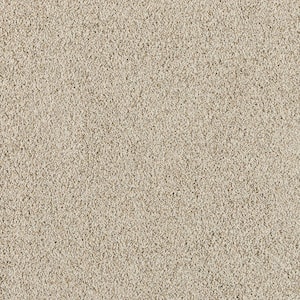 Radiant Retreat I Tranquil Gray 47 oz. Polyester Textured Installed Carpet