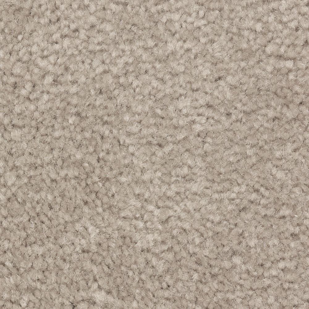 8 in. x 8 in. Texture Carpet Sample - Mason II -Color Deerfield price history on PriceWatchPro