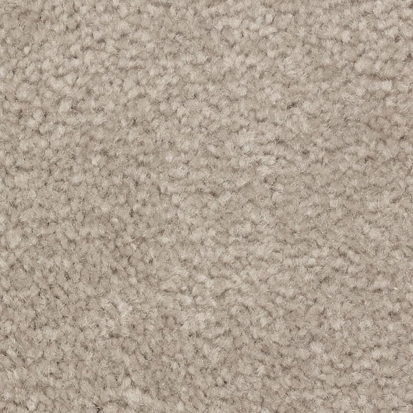 Lifeproof 8 in. x 8 in. Texture Carpet Sample - Mason II -Color Deerfield