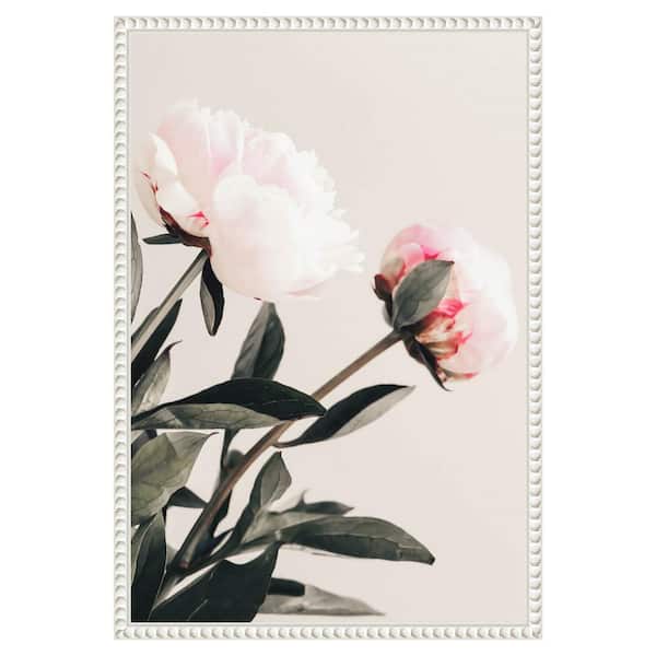 Amanti Art Peony 23 by Pictufy Studio III 1 Piece Floater Frame Giclee Home Canvas Art Print 23 in. x 16 in .