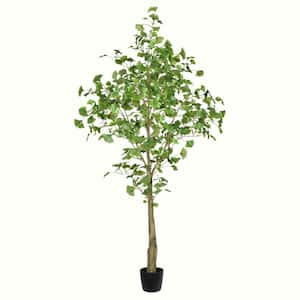 6 ft. Green Artificial Ginkgo Other Everyday Tree in Pot