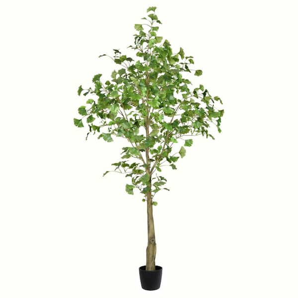 Vickerman 6 ft. Green Artificial Ginkgo Other Everyday Tree in Pot