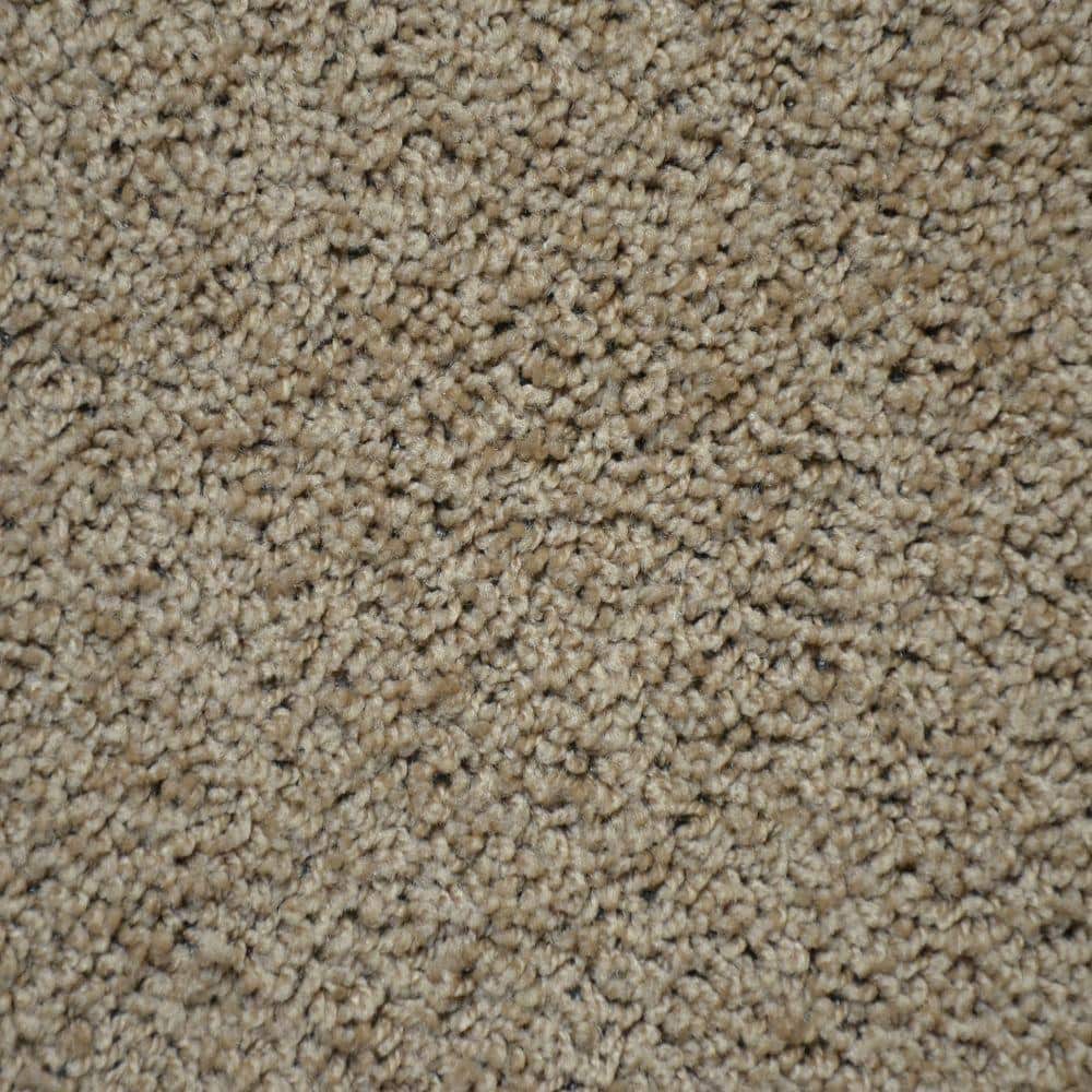 Triumph - Color Cinnamon 12 ft. Carpet H5800-1001-1200-AB - The Home Depot