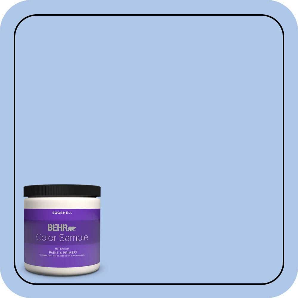 8 oz. #P530-2 Promise Keeping Eggshell Enamel Interior Paint & Primer Color Sample price history on PriceWatchPro