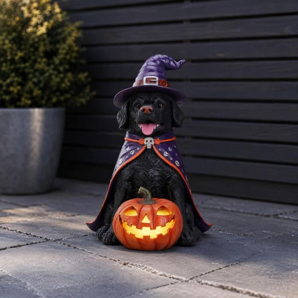 15.35 in. Resin Halloween Black Labrador Retriever Dog Statue with Witch Hat and Cape for Decoration