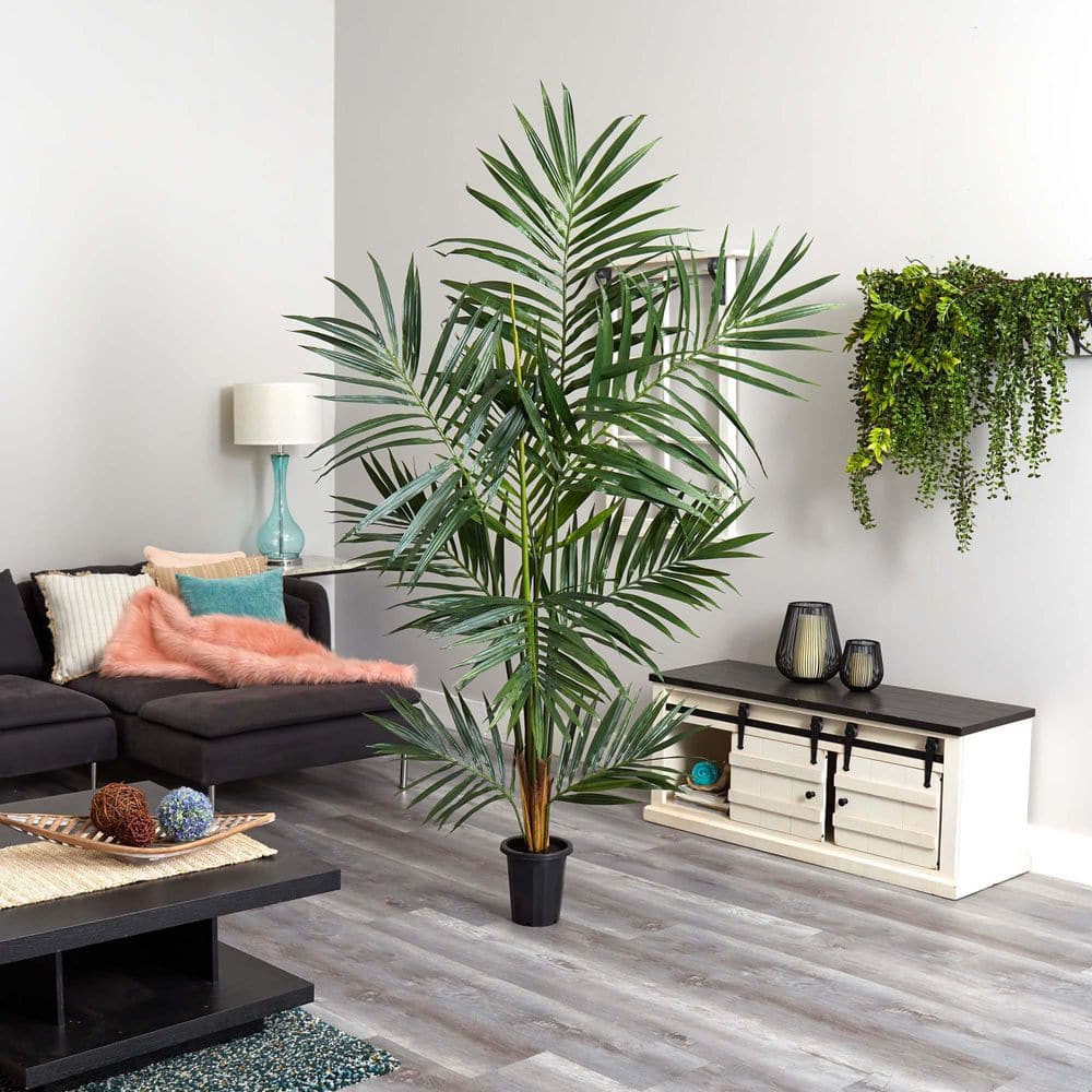 6-ft Green Kentia Palm Silk Tree in Black Plastic Pot