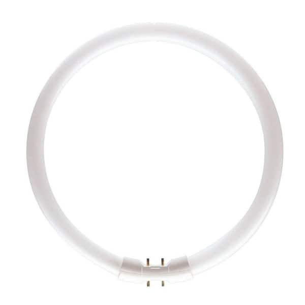 Philips T5 22-Watt Bi-pin Base Cool White (4100K) Circular Fluorescent Light Bulb
