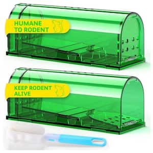 Indoor Humane Mouse Trap, Easy to Set, Quick Mouse Catcher Effective, Reusable and Safe for Families, Green (2 Pack)
