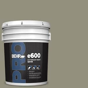 5 gal. #N350-5 Muted Sage Satin Exterior Paint