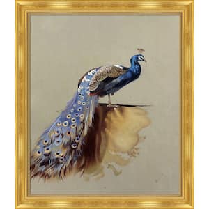 Peacock (Luxury Line) by Archibald Thorburn Milan Gold Framed Oil Painting Art Print 24 in. x 28 in.