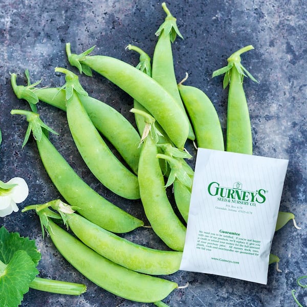 0.50 lb. Snap Pea Sugar Ann (Seed Packet)