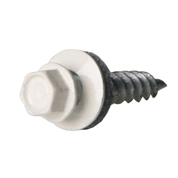 Unbranded 1-Deck Drain Screw in White (100-Pack)