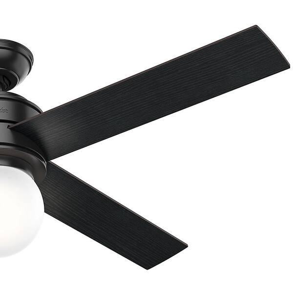 Hunter  52" Hepburn Matte Black Ceiling Fan with Light with Wall Control 
