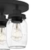 matte-black-dsi-lighting-flush-mount-ceiling-lights-ds19250-1f.3
